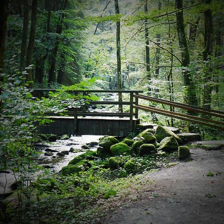 Fewo Kedo Neukirchen vorm Wald Exterior photo